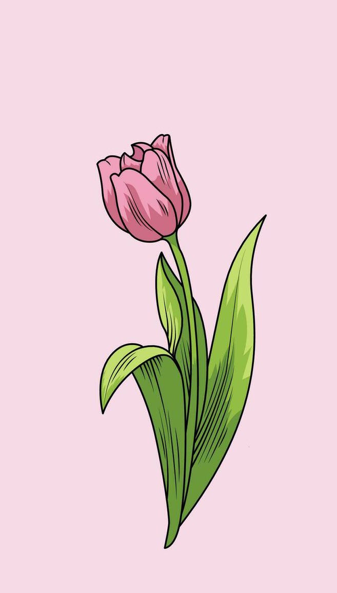 Ảnh nền hoa tulip cute đẹp nhất