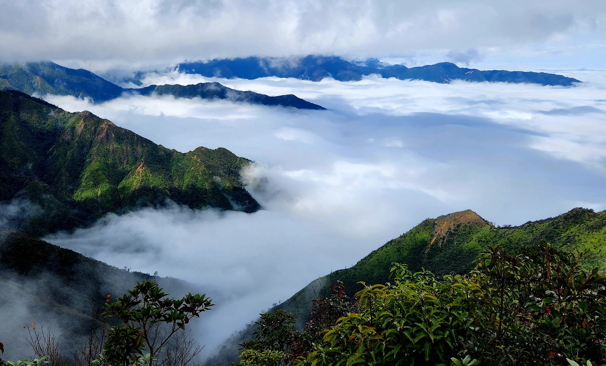 Hình ảnh phong cảnh thiên nhiên chill