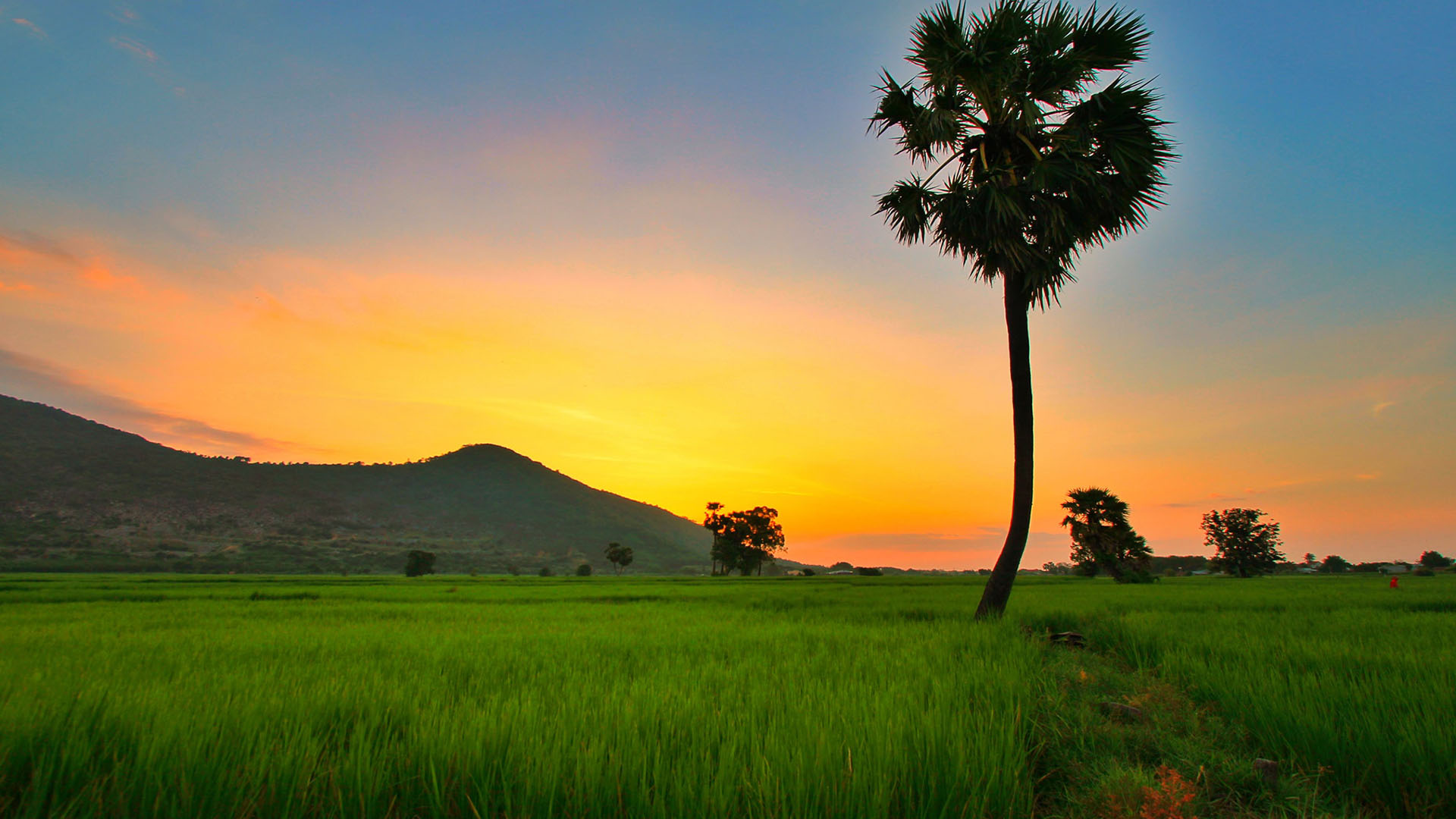 Hình ảnh thiên nhiên chill chill tuyệt đẹp