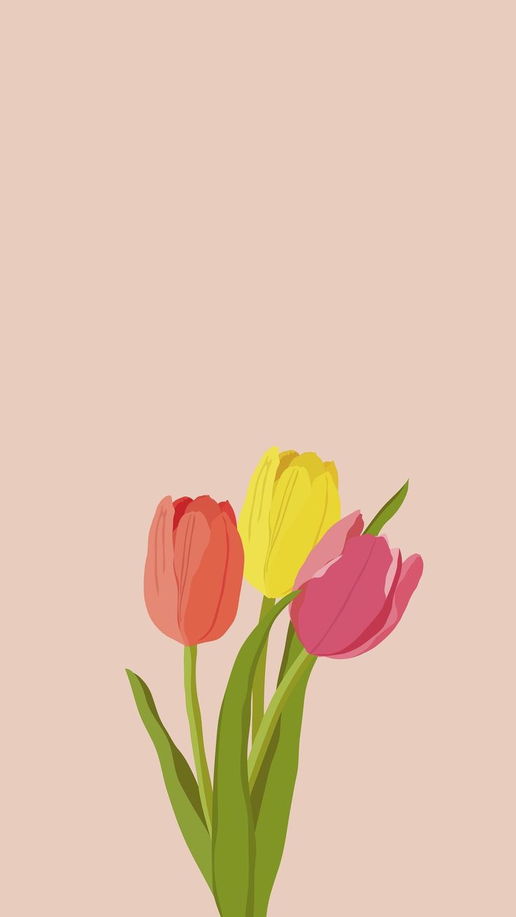 Hình nền điện thoại hoa tulip cute đẹp nhất