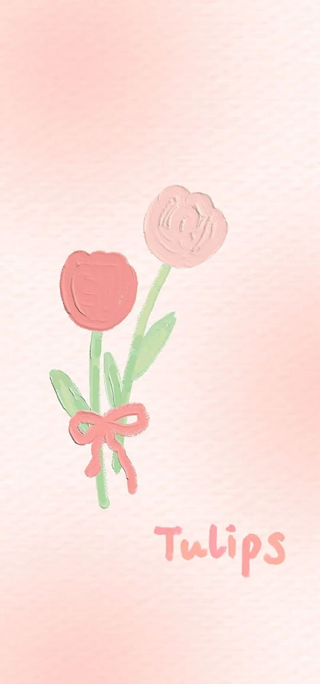 Hình nền hoa tulip cute đáng yêu nhất