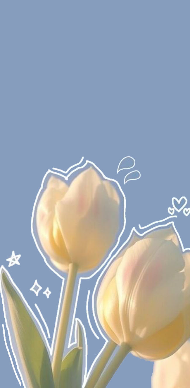 Hình nền hoa tulip cute đẹp cho điện thoại iOS