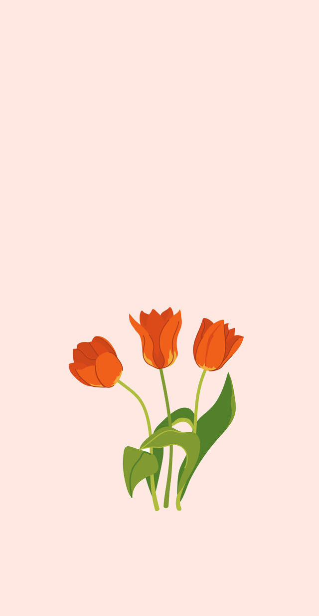 Hình nền hoa tulip cute đẹp iOS