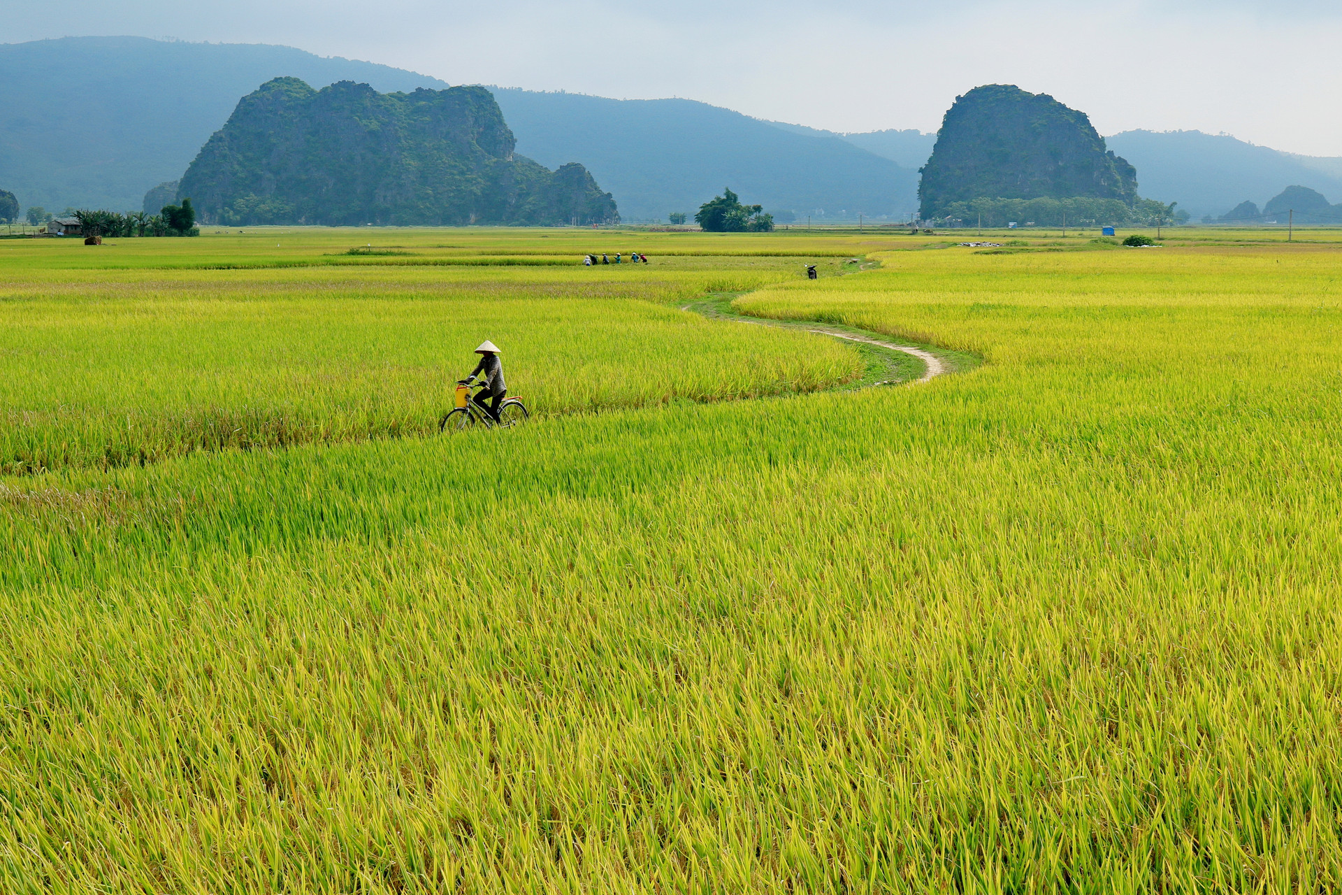 Hình phong cảnh chill cực đẹp