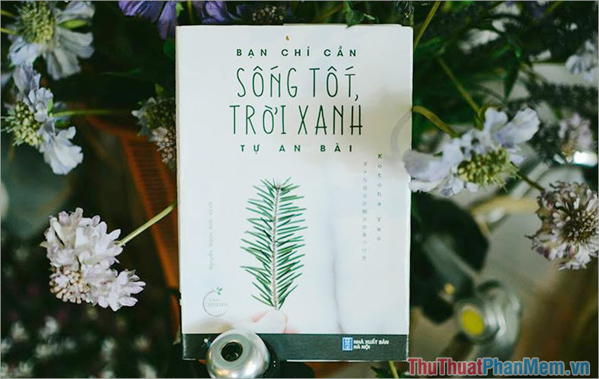 Bạn Chỉ Cần Sống Tốt, Trời Xanh Tự An Bài (Kotoha Yao)