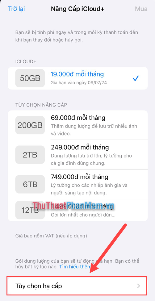 Trong mục Nâng cấp iCloud+, bạn chọn Tùy chọn hạ cấp