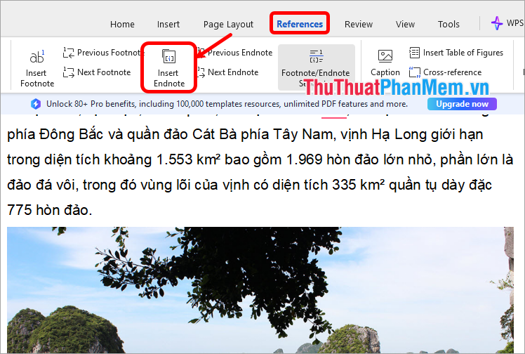 Chèn trích dẫn tài liệu tham khảo, chọn References → Insert Endnote